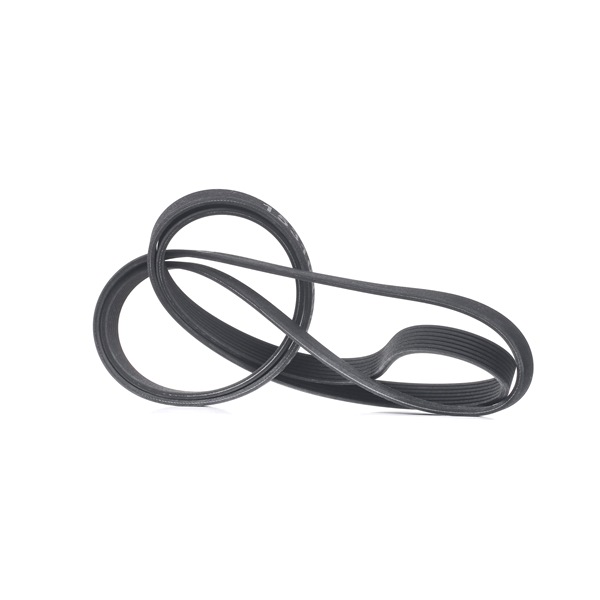 RIDEX Flerspårsrem / poly-v rem 305P0459