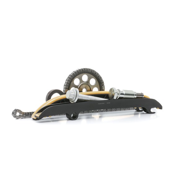 OEM 038103085C RIDEX  Steuerkettensatz 1389T0131 für VW, BMW, AUDI, SKODA, SEAT