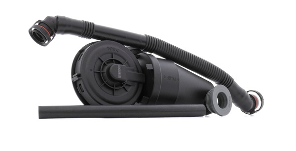 OEM 11151703484S1 RIDEX Venttiili, kampikammiotuuletus 3886V0035 varten BMW