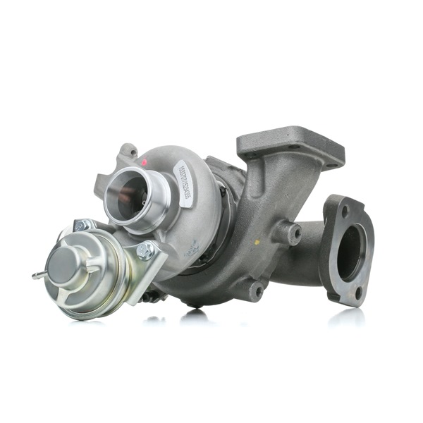PAJERO Turbolader 2234C0319 RIDEX