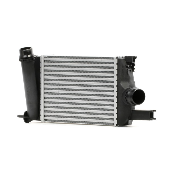 OEM 14461B680C STARK Välijäähdytin SKICC-0890232 varten RENAULT, DACIA, LADA
