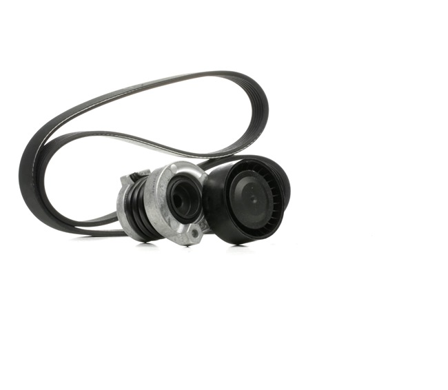 OEM 117202339R DAYCO Moniurahihnasarja KPV386 varten RENAULT, DACIA, RENAULT TRUCKS