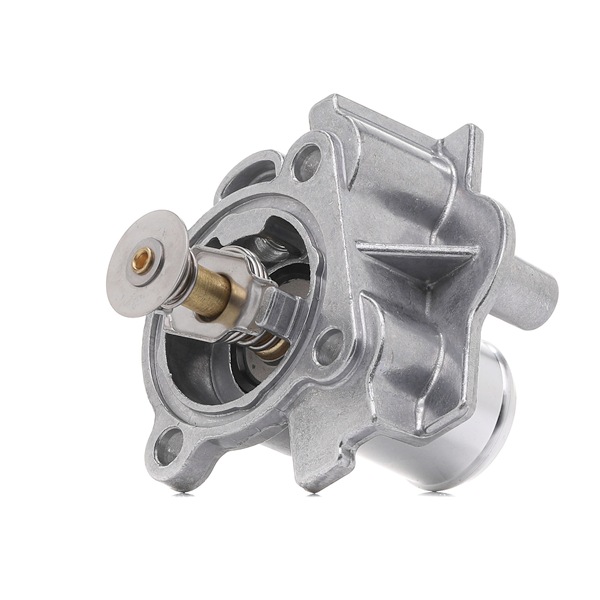 Daily Thermostat d'eau 352317003680 MAGNETI MARELLI