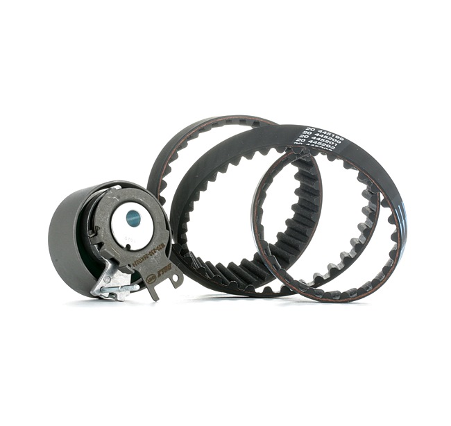 DOLZ Kit de distribution (SKD039) pour RENAULT Modus / Grand Modus (F, JP) 1.2 16V Hi-Flex (55 KW / 75 CH / de 2008)