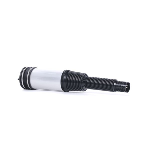 OEM 2203205013ncpl3 RIDEX Ilmajousi 4119A0039 varten MERCEDES-BENZ