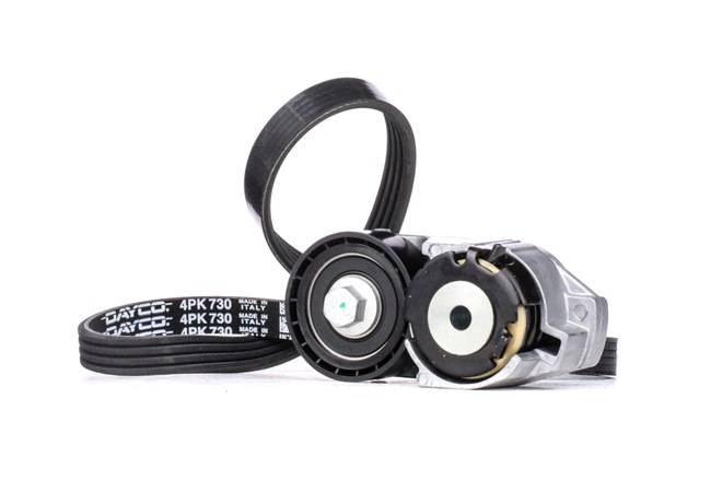 RIDEX Keilrippenriemensatz (542R0521) in erstklassiger Qualität für FORD TRANSIT Bus (FD_ _, FB_ _, FS_ _, FZ_ _, FC_ _) 2.0 TDCi (F_F_, F_E_, F_G_) (92 KW / 125 PS / de 2002)