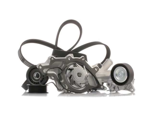 Waterpomp + Multi V-riemset (4172P0013) van RIDEX Voor MERCEDES-BENZ SPRINTER 3-t Open laadbak/ Chassis (906) 213 CDI (906.111, 906.113, 906.211, 906.213) (95 KW / 129 PK / Van 2006)