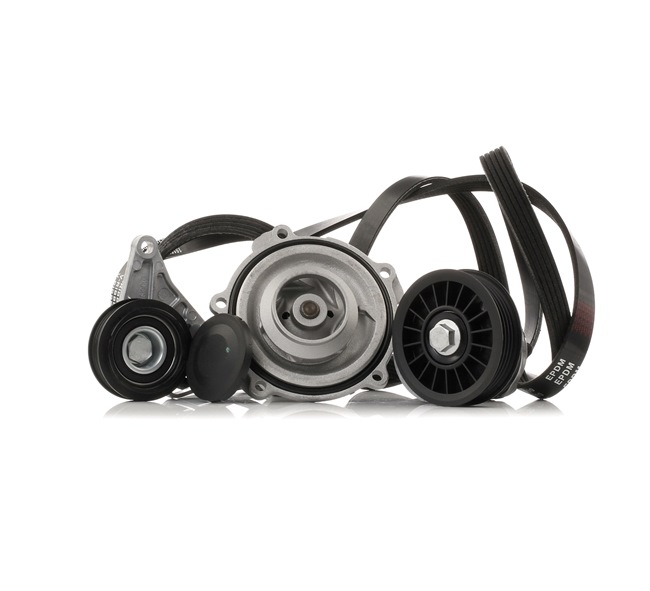 OEM 977132D100 RIDEX Vesipumppu + vetohihnasarja 4172P0014 varten VW, BMW, AUDI, NISSAN, PEUGEOT