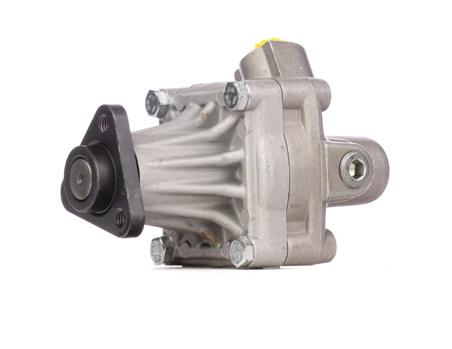 PORSCHE Steering pump - Power steering pump SKHP-0540226 STARK