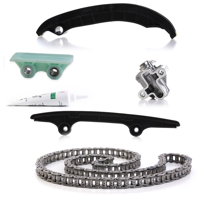 OEM 0816H4 INA Timing chain kit 559 0193 10 for FORD, PEUGEOT, CITROЁN, FIAT