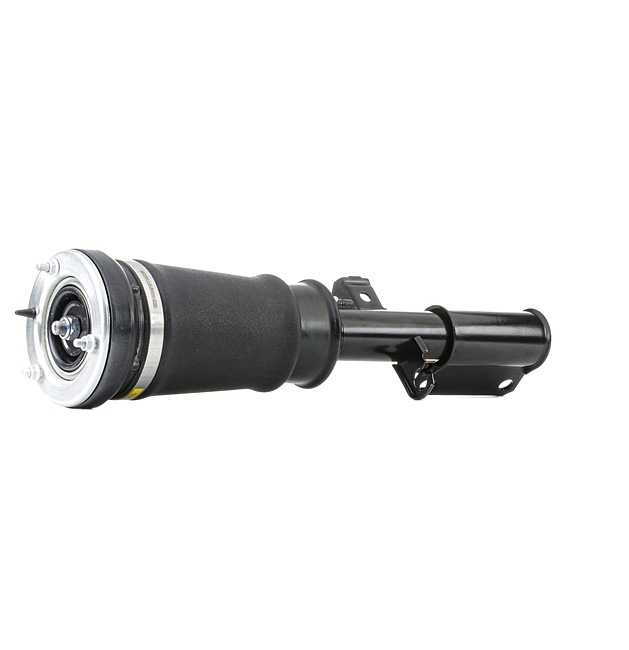 RIDEX Amortiguador neumático (4118A0040) para BMW X5 (E53) 4.4 i (210 KW / 286 CV / de 2000)