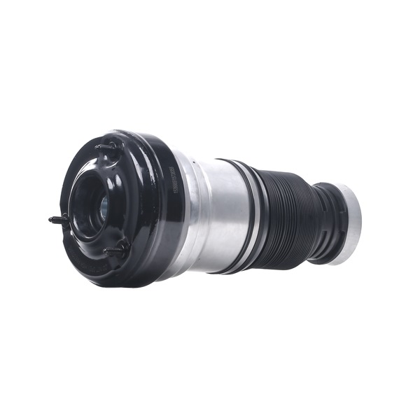 OEM A2203202438 RIDEX Ilmajousi 4119A0041 varten MERCEDES-BENZ, LAND ROVER