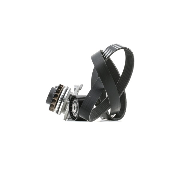 RIDEX Pompe à eau+Jeu de courroie trapézoïdale à nervures (4172P0018) pour RENAULT Laguna III 5 portes (BT, BT0/1) 2.0 dCi (BT0M, BT0N, BT0S, BT19, BT1F) (127 KW / 173 CH / de 2008)