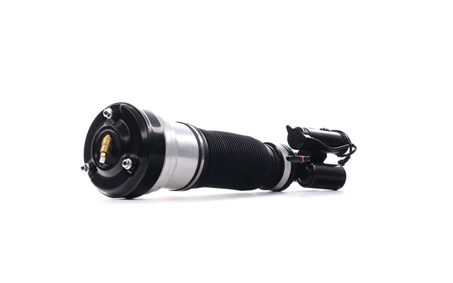 OEM 2203202138 RIDEX Ilmajousijalka 4118A0043 varten MERCEDES-BENZ