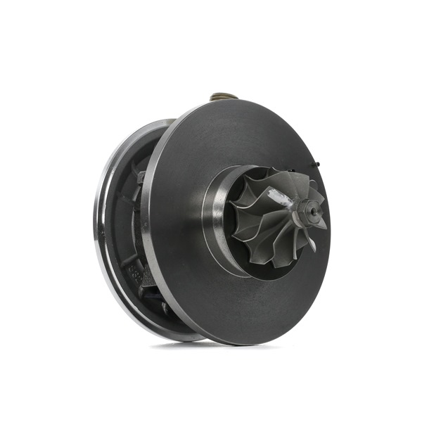 OEM 038253016D RIDEX Coreassy turbina 4973C0043 per VOLKSWAGEN, AUDI, SEAT, SKODA, CUPRA