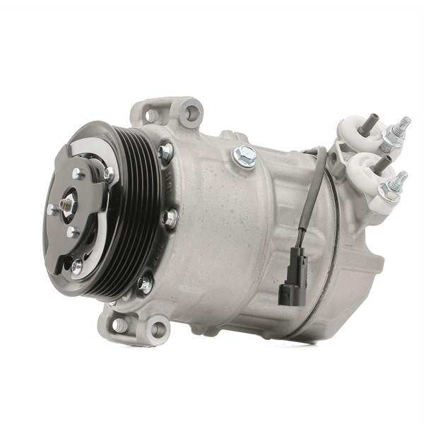OEM LR056364 RIDEX AC-kompressor 447K0495 for LAND ROVER, JAGUAR, ROVER