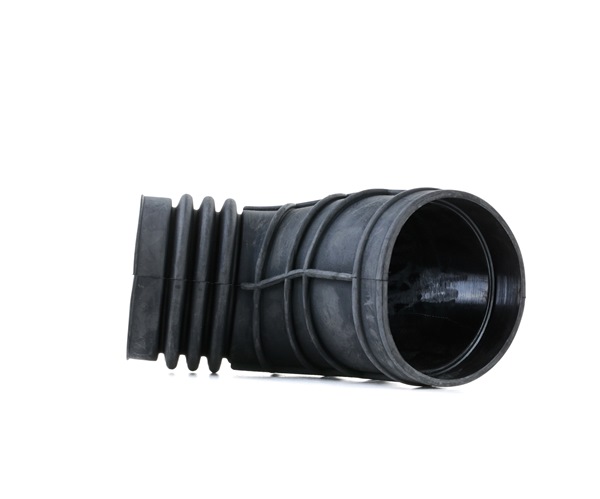 OEM 1438761 RIDEX Imuputki, ilmansuodatin 1591I0013 varten BMW, MINI