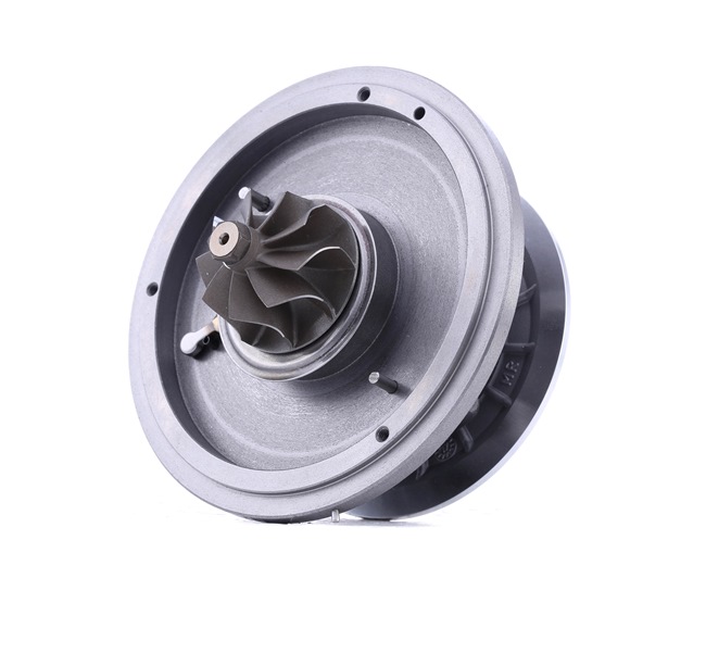 i30 Kjernegruppe, lader 4973C0048 RIDEX