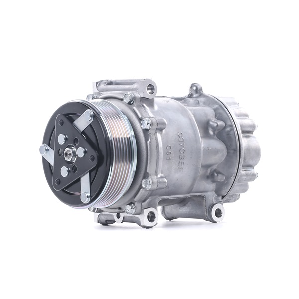 OEM 648748 RIDEX AC-kompressor 447K0498 for TOYOTA, FORD, PEUGEOT, CITROЁN, FIAT