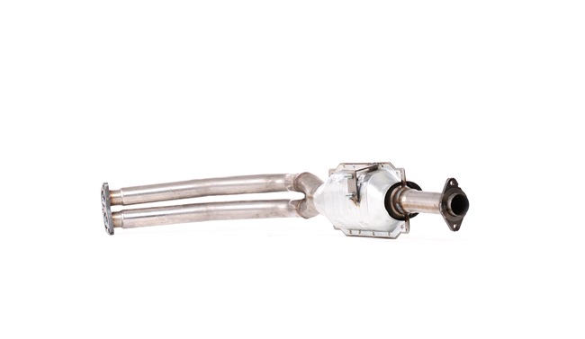OEM 1415061A13 RIDEX Katalysaattori 429C0587 varten SUZUKI