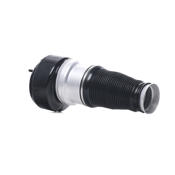 OEM A2213204913 RIDEX Ilmajousi 4119A0047 varten MERCEDES-BENZ