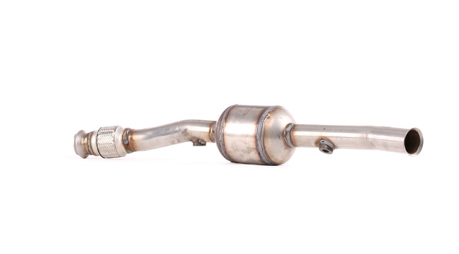 OEM 1705RV RIDEX Katalysaattori 429C0696 varten VW, PEUGEOT, CITROЁN