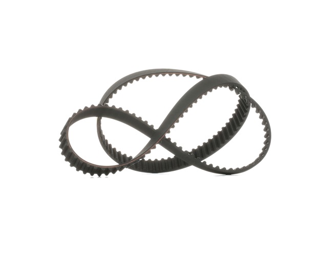 RIDEX Kamrem & kamremssats 306T0293