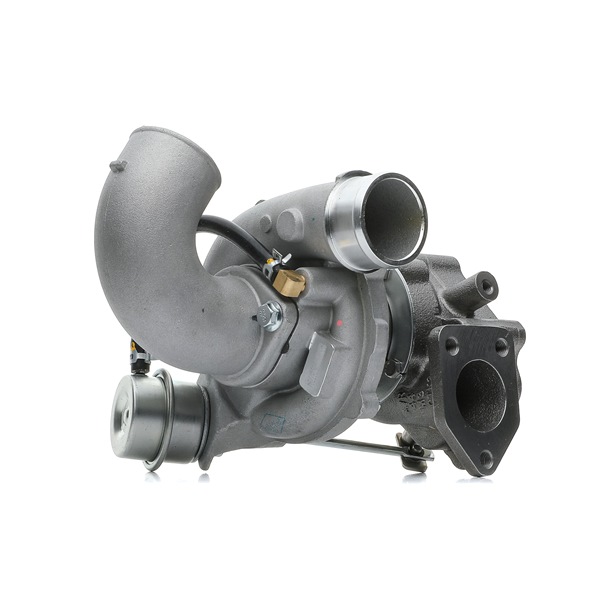 OEM 282004A001 RIDEX  Turbolader 2234C0464 für HYUNDAI, KIA