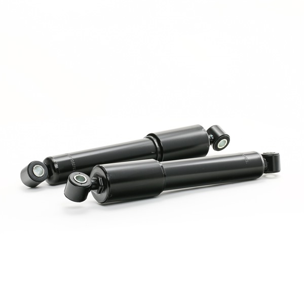 RIDEX 854S17796 POWER DAILY Stoßdämpfer