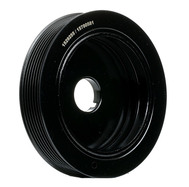 JOGGER Krukaspoelie 3213B0180 RIDEX