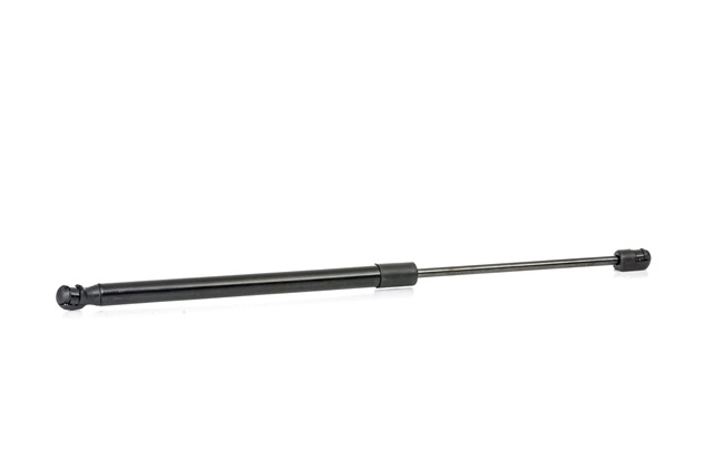 Baklukedemper 219G0955 RIDEX
