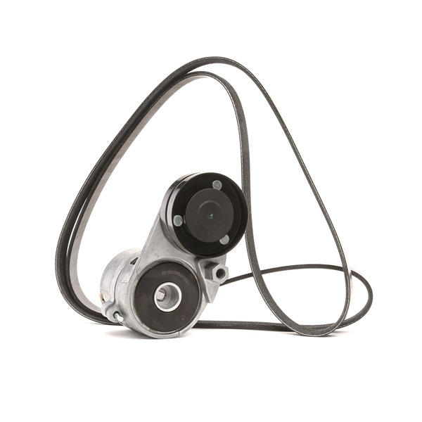 RIDEX Kit Cinghie Poly-V (542R0534) per AUDI A4 Cabrio (8H7, B6, 8HE, B7) 2.4 (125 KW / 170 CV / dal 2002)
