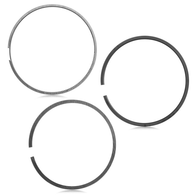 RIDEX Fasce elastiche & kit fasce elastiche 444P0030