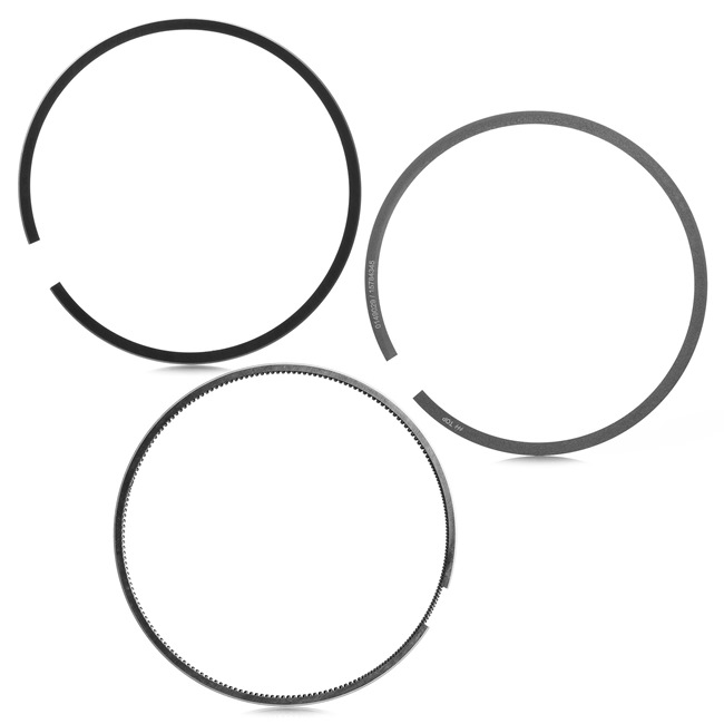 PACEMAN Kit fasce elastiche SKPRK-1020035 STARK