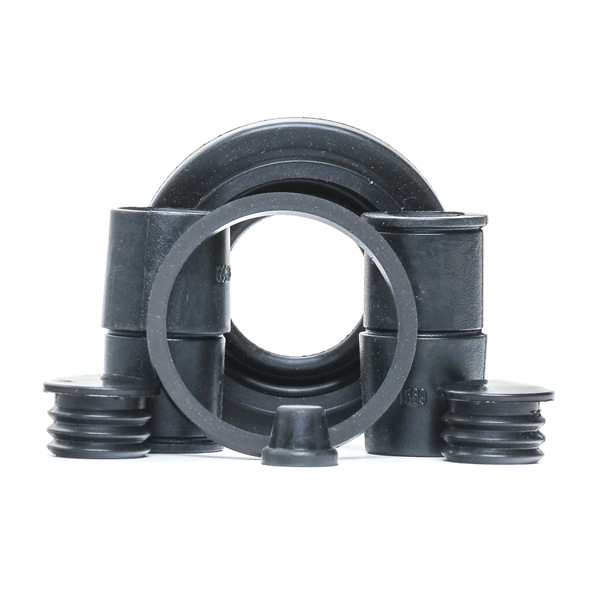 RIDEX Juego de reparación, pinza de freno (405R0172) para BMW 3 Compact (E46) 325 ti (141 KW / 192 CV / de 2001)