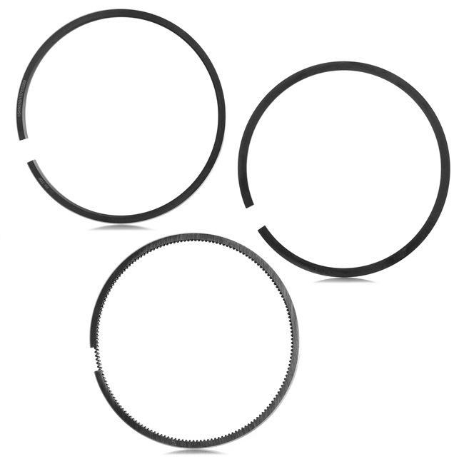 Kit fasce elastiche 444P0042 da RIDEX