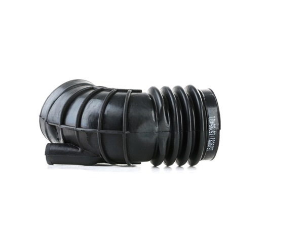 OEM 13711708800 RIDEX Imuputki, ilmansuodatin 1591I0030 varten BMW, MINI