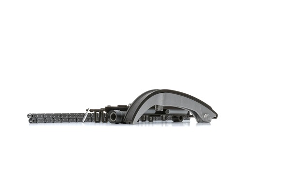RIDEX Timing chain 1389T2446
