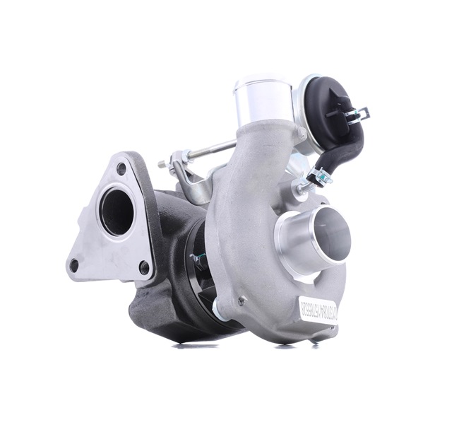 RENAULT CLIO 2025 Turbocharger SKCT-1190508