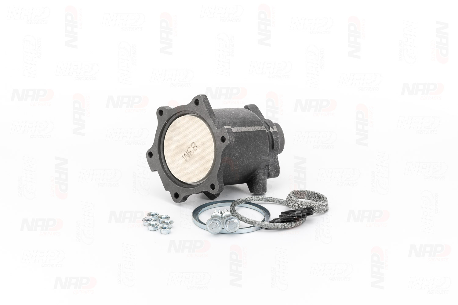 PATROL Katalysator CAK10192 NAP carparts