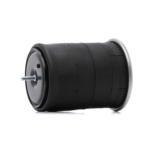 OEM 1731113 RIDEX Ilmajousi 4119A0052 varten