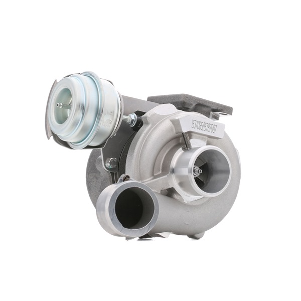 MULTIPLA Turbolader 2234C10019 RIDEX