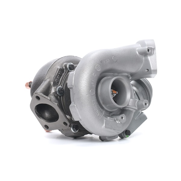 OEM 11657790326 RIDEX REMAN Turbina 2234C10022R per BMW