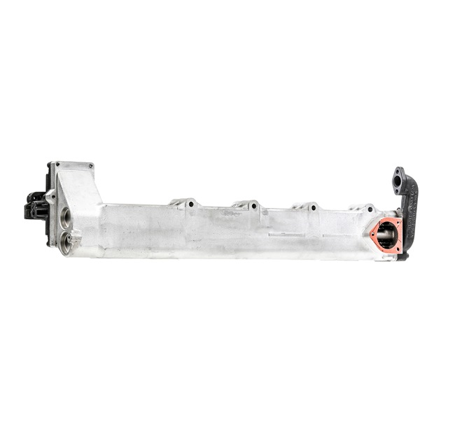 OEM 51081007027 RIDEX REMAN Modulo EGR 4198E0009R per MAN
