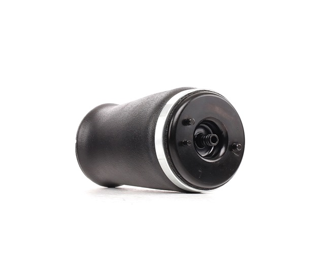 OEM 1095081 RIDEX Ilmajousijalka 4118A0065 varten BMW