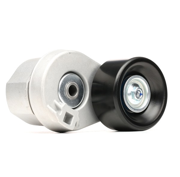 Polea tensora, correa poli V RIDEX 310T0356 para FORD TRANSIT 2009