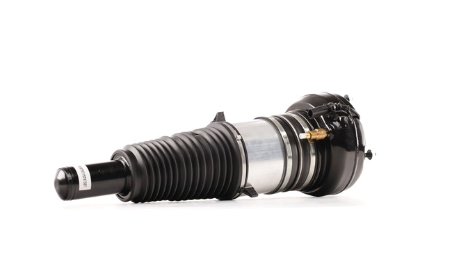 RIDEX Luchtvering 4118A0066