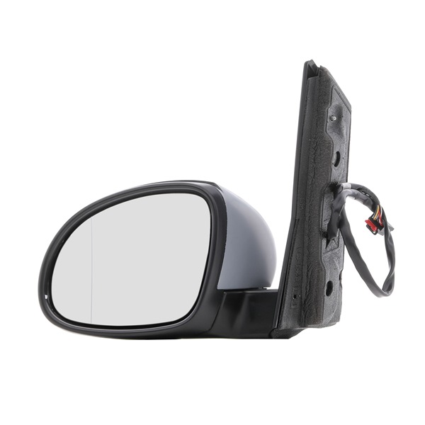RIDEX Rear-view mirror / wing mirror 50O0760