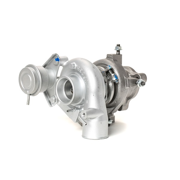 Turbo RIDEX REMAN 2234C10046R