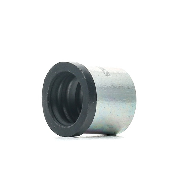 VOLVO V40 Hatchback (525, 526) T4 Letku, kampikammiotuuletus 1600H16000015